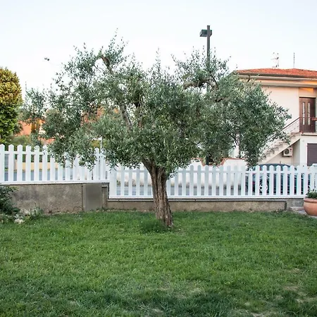 Luca's In Tuscany * Arena Metato